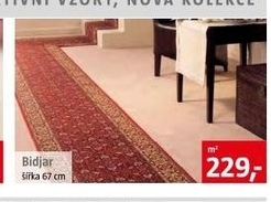 běhoun Bidjar š.67 cm