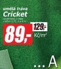 cricket