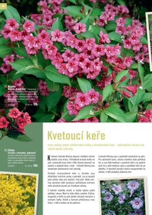 akční leták Hornbach 19.3.2015-30.6.2015