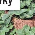 Svahovky