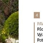 pavilon jakarta XXL