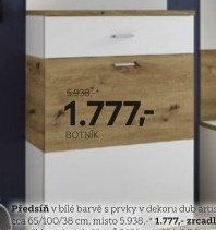 BOTNÍK