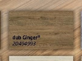 dub Ginger