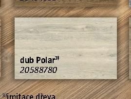 dub Polar