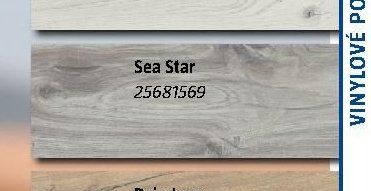 Logoclic element Sea Star