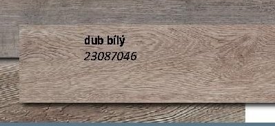 dub bílý 23087046