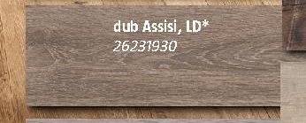 dub Assisi, LD 26231930