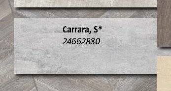 Carrara, S*