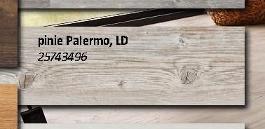 pinie Palermo, LD 25743496