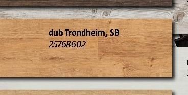 dub Trondheim, SB 25768602
