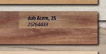 dub Acere, 2S 25764433