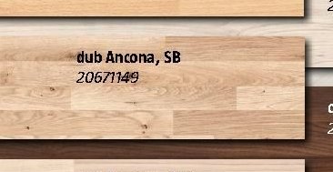 dub Ancona, SB 20671149