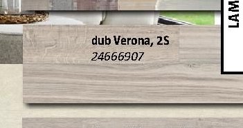 dub Verona, 2S 24666907