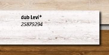 dub Levi*