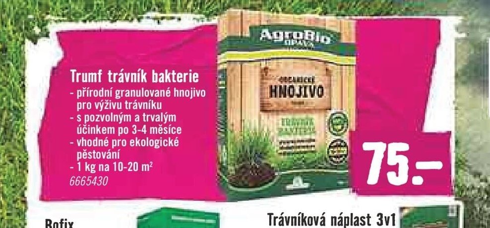 Trumf trávník bakterie