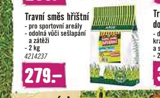 Travní směs hřištní
