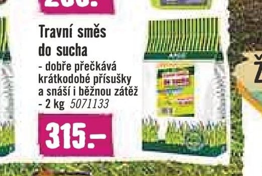 Travní směs do sucha