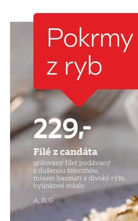 Filé z candáta