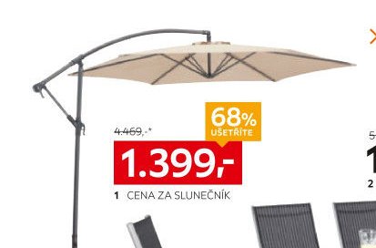 Slunečník