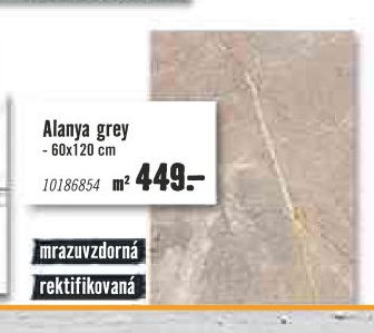 Alanya grey