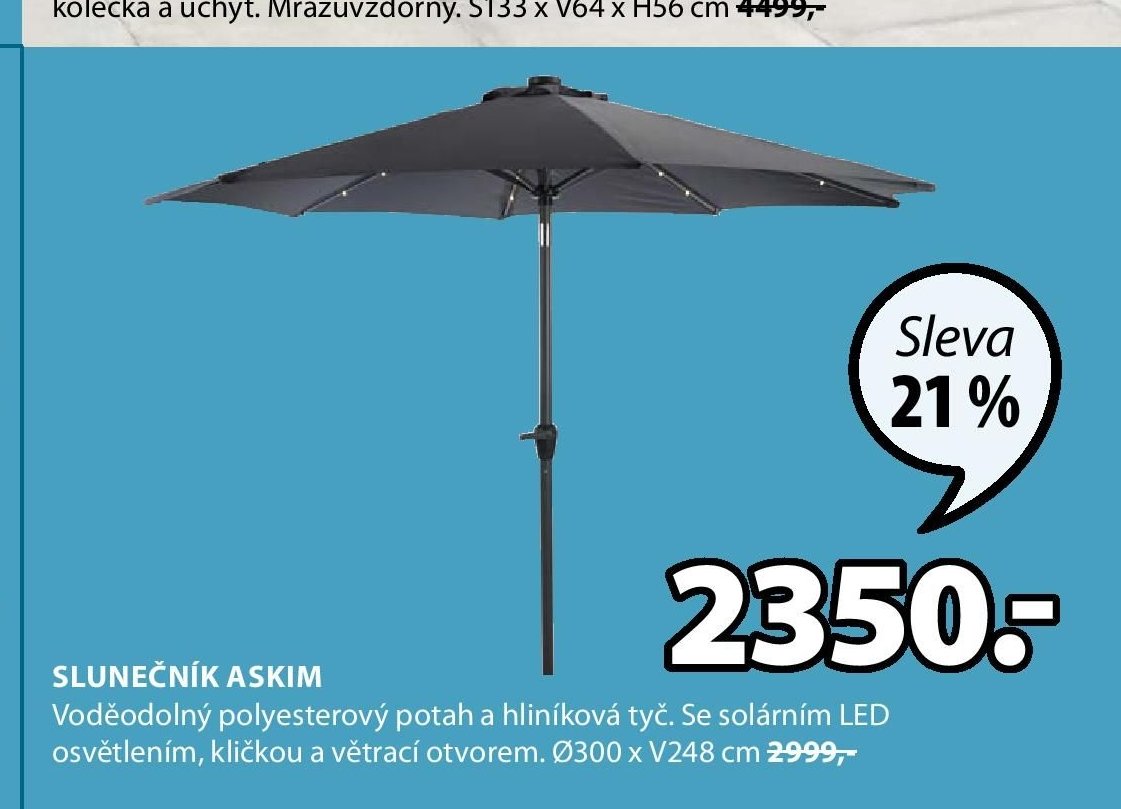SLUNEČNÍK ASKIM