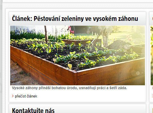 Článek: Pěstování zeleniny ve vysokém záhonu