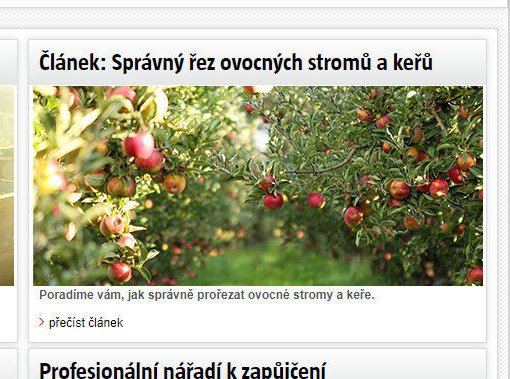 Článek: Správný řez ovocných stromů a keřů