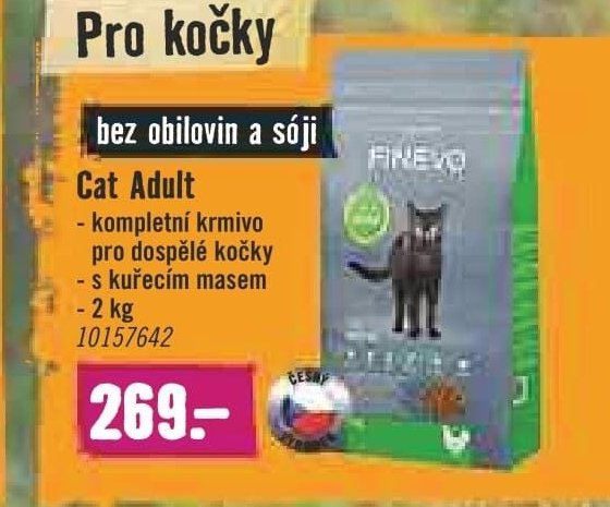 Cat Adult