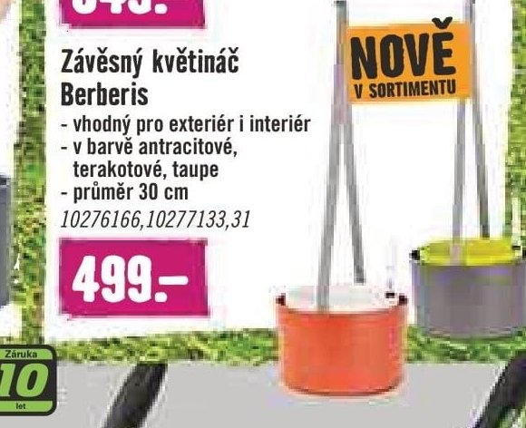 Závěsný květináč Berberis