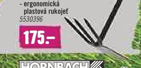 Motyčka dvojitá