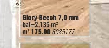 Glory Beech