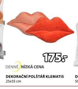 DEKORAČNÍ POLŠTÁŘ KLEMATIS