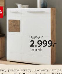 BOTNÍK
