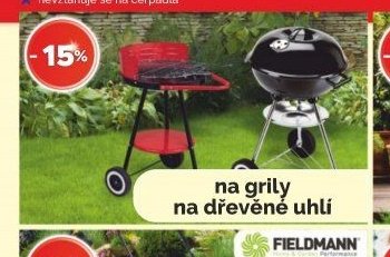 na grily na dřevěné uhlí