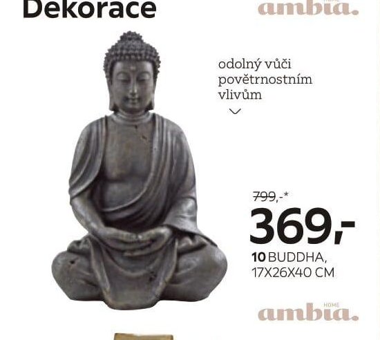 10 BUDDHA, 17X26X40 CM