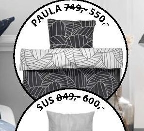 PAULA