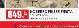 KOBEREC FRISEE FIESTA
