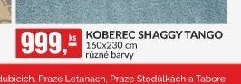 KOBEREC SHAGGY TANGO