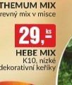 Hebe mix