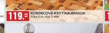 KOBERCOVÁ KRYTINA AMALIA