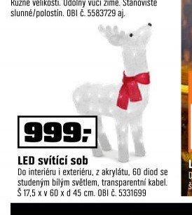 LED svítící sob