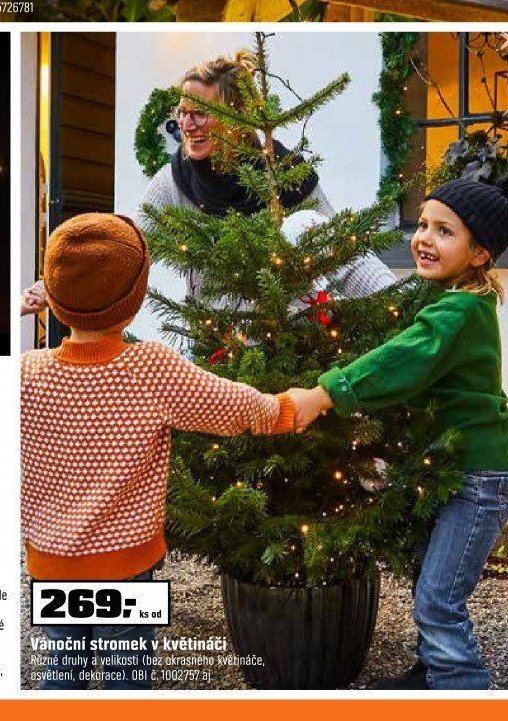 Vánoční stromek v květináči