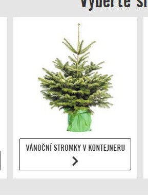 Vánoční stromky v kontejneru