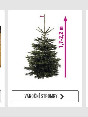 Vánoční stromky