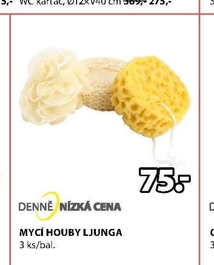 MYCÍ HOUBY LJUNGA