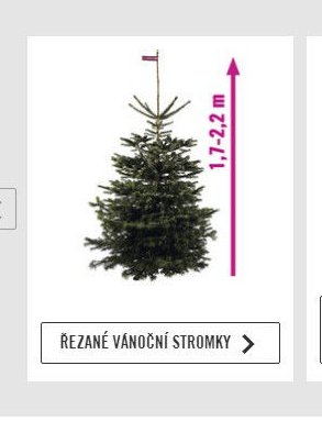 Řezané vánoční stromky