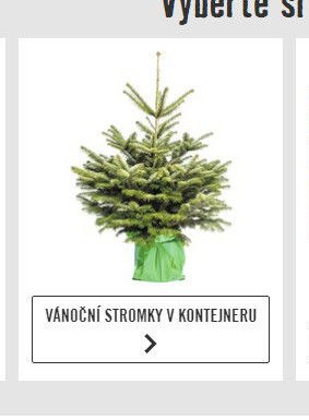 Vánoční stromky v kontejneru