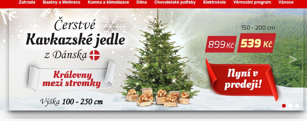 Kavkazské jedle