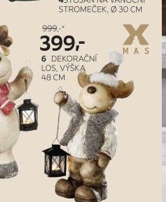6 DEKORAČNÍ LOS, VÝŠKA 48 CM