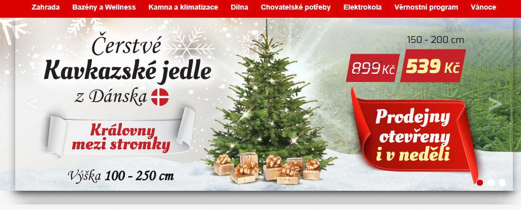 Kavkazské jedle z Dánska